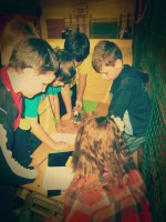 /album/noc-s-knihou1/p4050045-jpg1/